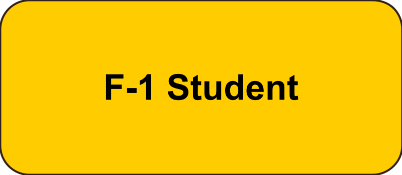 F1 Student Button