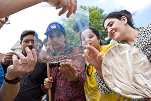 International Pakistani Students