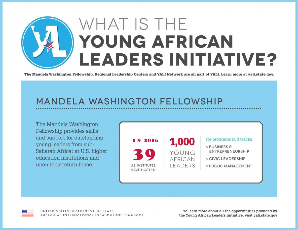 What is the Young African Leaders Initiative graphic